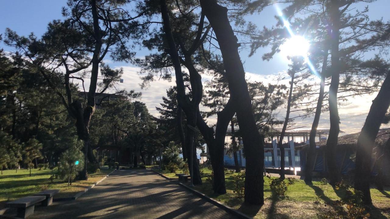 Hotel Palermo コブレチ エクステリア 写真