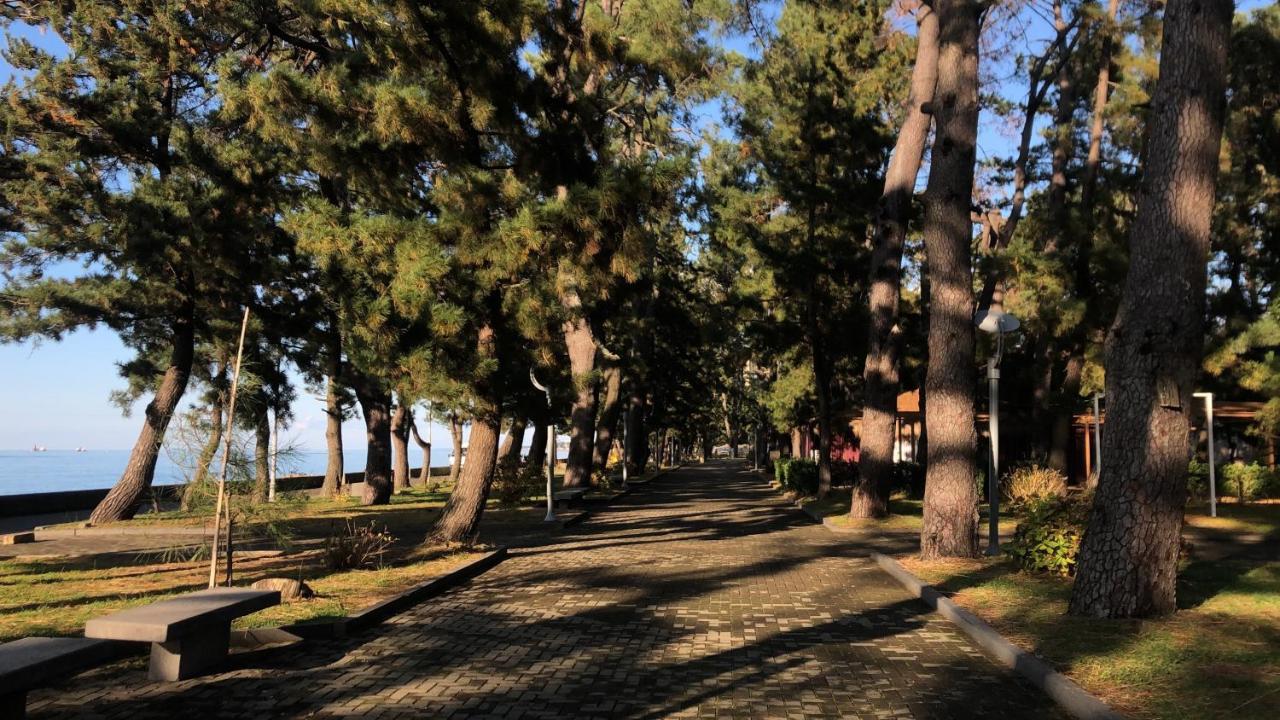 Hotel Palermo コブレチ エクステリア 写真